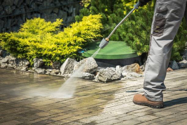 Best Gutter Cleaning  in Lees Summit, MO