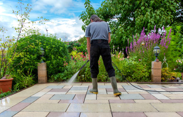 Best Driveway Pressure Washing  in Lees Summit, MO