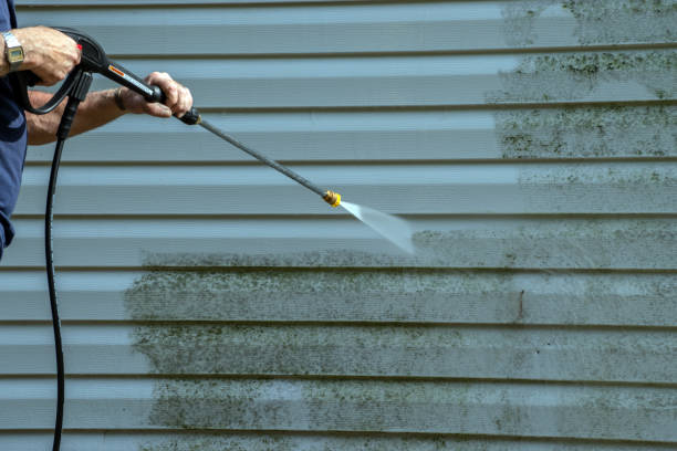 Best Building Exterior Washing  in Lees Summit, MO