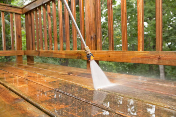 Best Dumpster Area Cleaning  in Lees Summit, MO